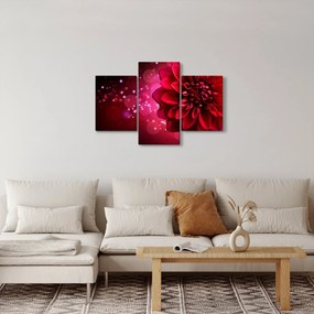 Tablou cu floare roșie (90x60 cm)