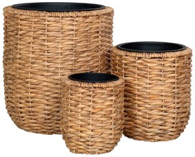 Ghivece 3 buc. din zambilă de apă ø 49 cm Hanoi – House Nordic