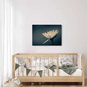 Tablou cu flori (70x50 cm)