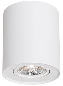 Spotlight modern de plafon alb, rotativ și înclinabil AR70 - Rondoo Up