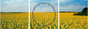 Tablou - câmp cu floarea soarelui (cu ceas) (90x30 cm)