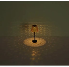 SET 2x corp de iluminat LED solar Globo 36634-2A SOLAR LED/0,06W/3V IP44 portocaliu