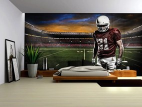 Fototapet - Stadionul american de fotbal (152,5x104 cm)