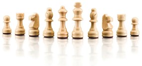 Șah magnetic Popular 92220