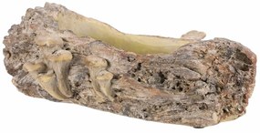 Ambalaj din beton - ghiveci, lemn cu ciuperci, 36x 18 x 13 cm, maro, 36 cm