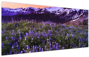 Tablou - Vulcan și flori (120x50 cm)