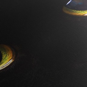 Tablou - Ochi de pisică (120x50 cm)