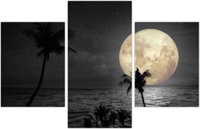 Tablou - Plaja cu lună plină, nuanțe gri (90x60 cm)