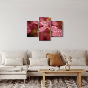 Tablou - Imagine macro a biletului (90x60 cm)