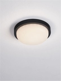Mini Aplica LED exterior de perete/tavan, IP65, REO negru