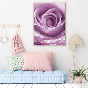 Poster - Trandafir (A4)