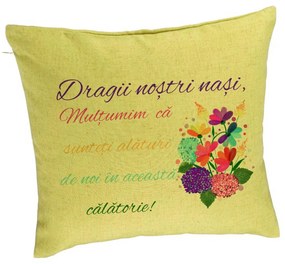 Perna Decorativa pentru Nasi 2, 40x40 cm, Verde, Husa Detasabila, Burduf