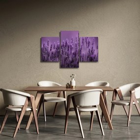 Tablou - Lavanda (90x60 cm)