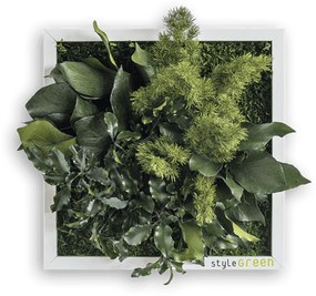 Tablou verde StyleGreen Plant Island 22x22
