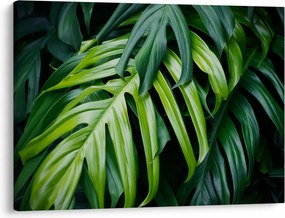 Tablou - Frunze tropicale (70x50 cm)