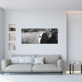 Tablou - Picior de elefant (120x50 cm)