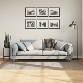 vidaXL Covor pufos &quot;PAMPLONA&quot; cu fire înalte, bej modern, 100x200 cm