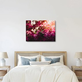 Tablou cu florile tufișului înflorit (70x50 cm)