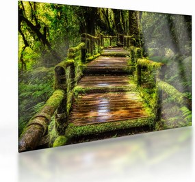Tablou pe sticlă cu scări într-o pădure tropicală (70x50 cm)