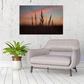 Tablou - Silueta plantei (90x60 cm)