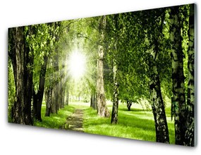 Tablouri acrilice Forest Soare Potecă Natura Brun Verde Galben