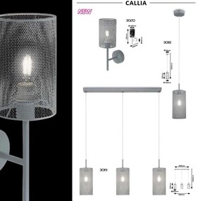 Aplica de perete design modern Callia 3020 RX