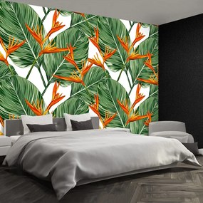 Fototapet Royal Strelitzia