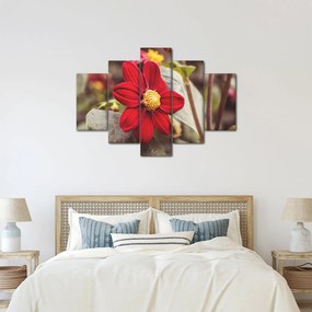 Tablou cu floare (150x105 cm)