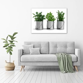 Pictură pe pânză Plante aromatice