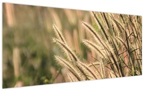 Tablou - Cereale (120x50 cm)