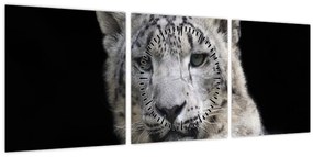 Tablou - Snow Leopard (cu ceas) (90x30 cm)