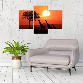 Tablou cu girafe în apus de soare (90x60 cm)