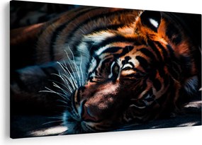 Tablou cu tigrul dormind (90x60 cm)
