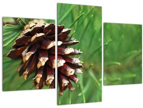 Tablou cu con (90x60 cm)