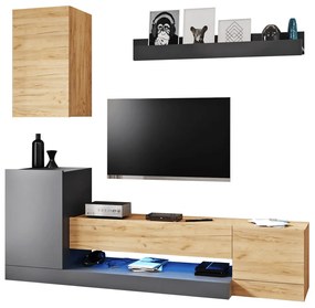 Set living 3 piese Dula gri-stejar, 200/40/180 cm
