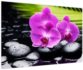 Tablou - Orhidee (90x60 cm)