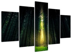 Tablou cu pădurea întunecată (150x105 cm)