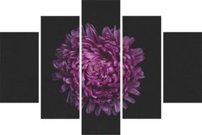 Tablou cu floare violetă (150x105 cm)