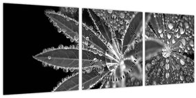 Tablou - Picături (cu ceas) (90x30 cm)