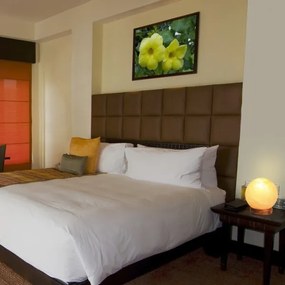 Rabalux 4093 - Lampă de sare OZONE, 1xE14/15W/230V