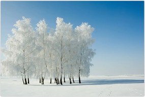 Tablou - Peisaj înzăpezit (90x60 cm)