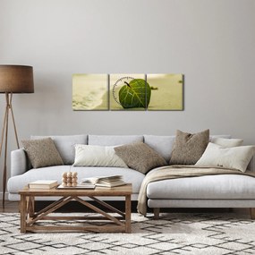 Tablou cu frunză în nisip (cu ceas) (90x30 cm)