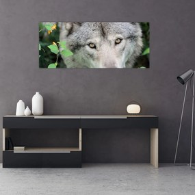 Tablou - Portret de lup (120x50 cm)