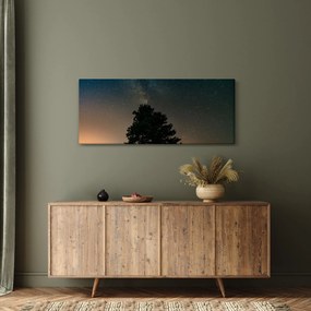 Tablou cu cerul nocturn și copaci (120x50 cm)
