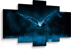 Tablou cu bufnița zburând (150x105 cm)