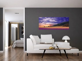 Tablou cu lunca cu lavandă (120x50 cm)