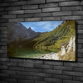 Pictură pe pânză Marine ochi tatry
