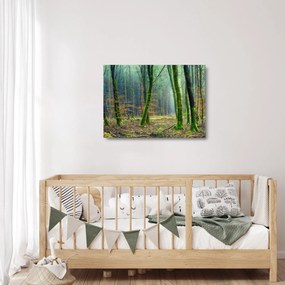 Tablou pe sticlă cu pădure (70x50 cm)