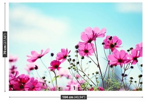Fototapet Flower Sky