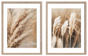 Tablouri 2 buc. 30x40 cm Selloana – Styler